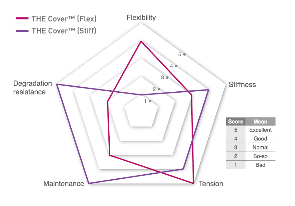 THE_Cover_Radial-Graphs
